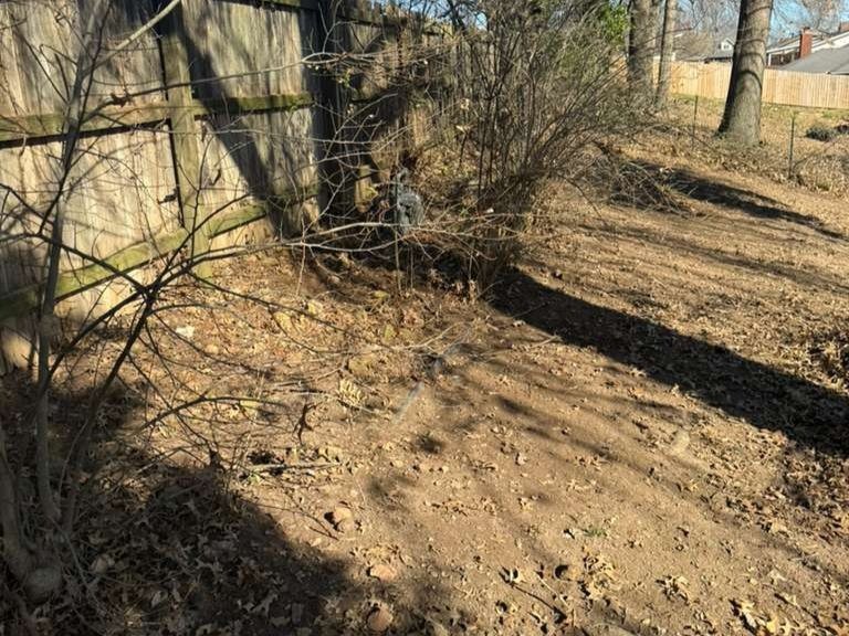 Luchos Tree Services