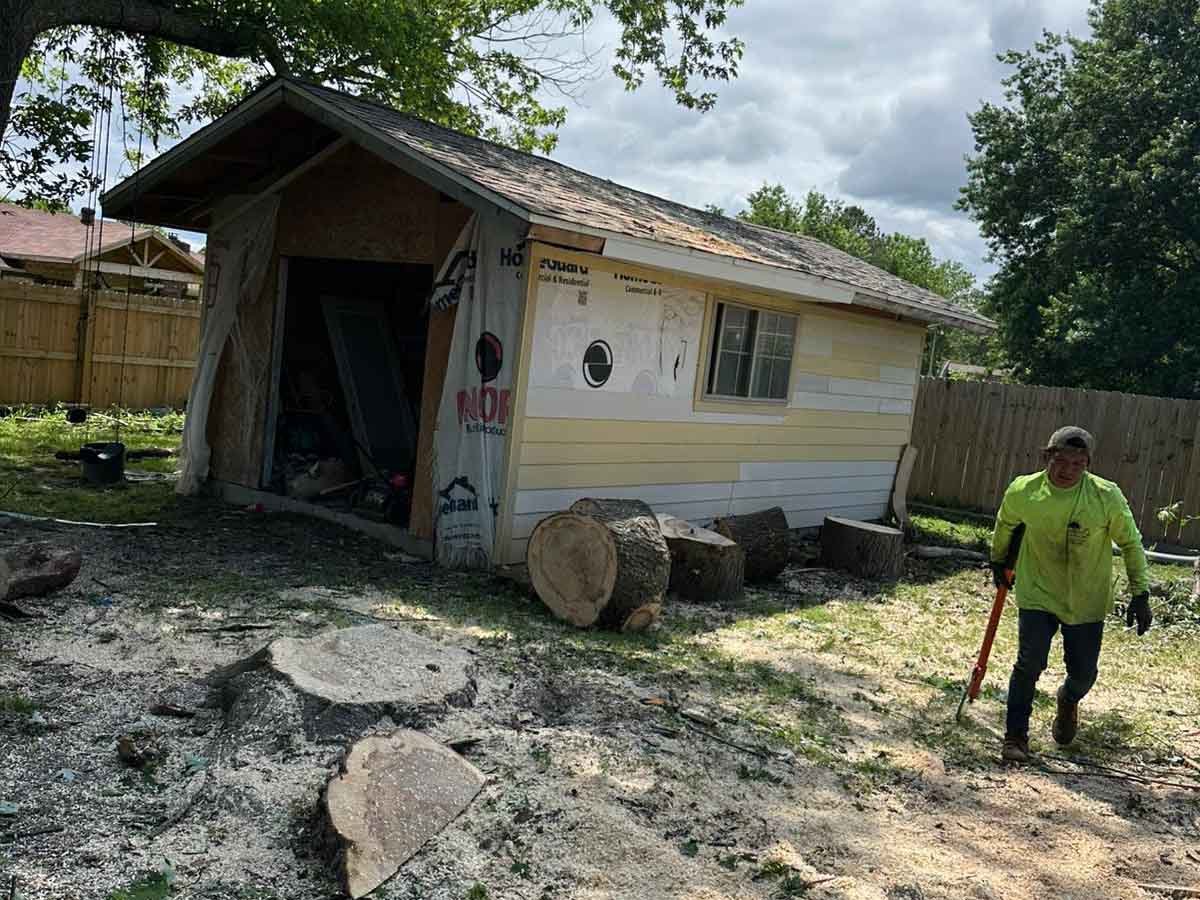 Luchos Tree Services