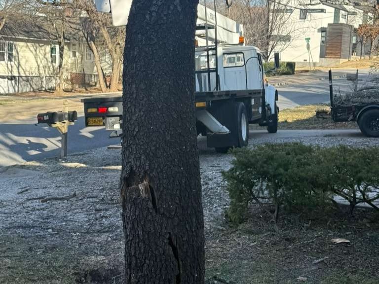 Luchos Tree Services