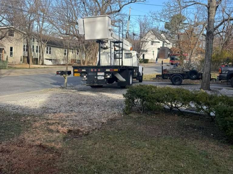 Luchos Tree Services