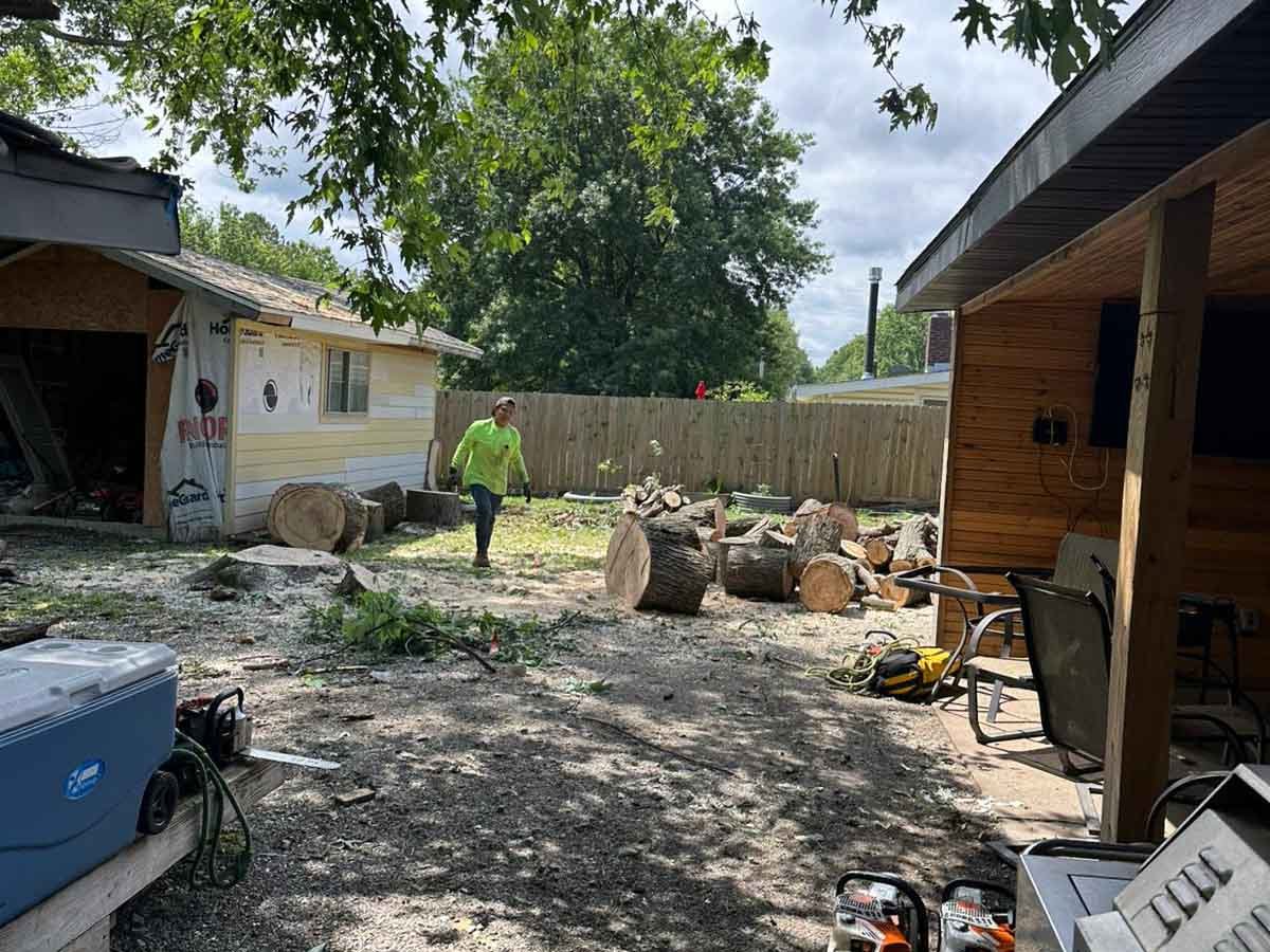 Luchos Tree Services