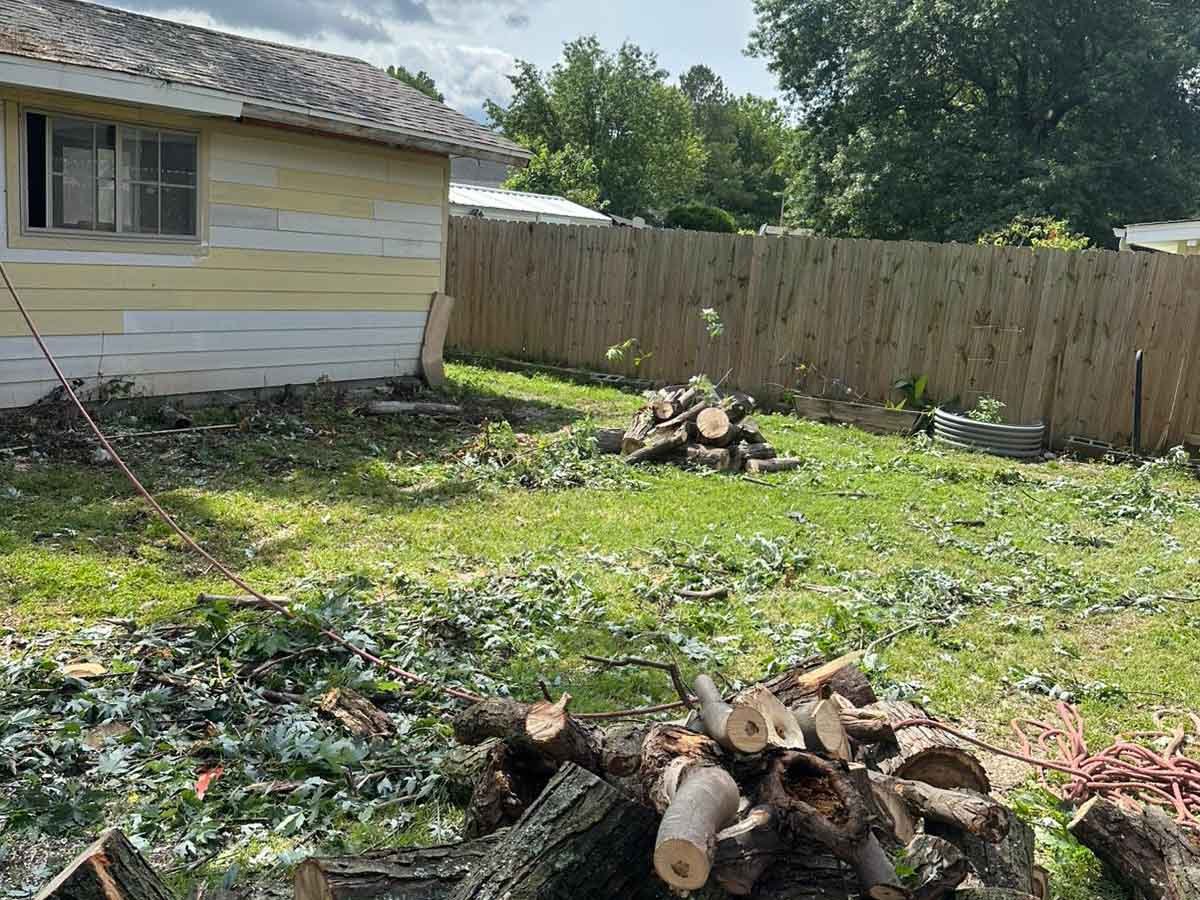 Luchos Tree Services