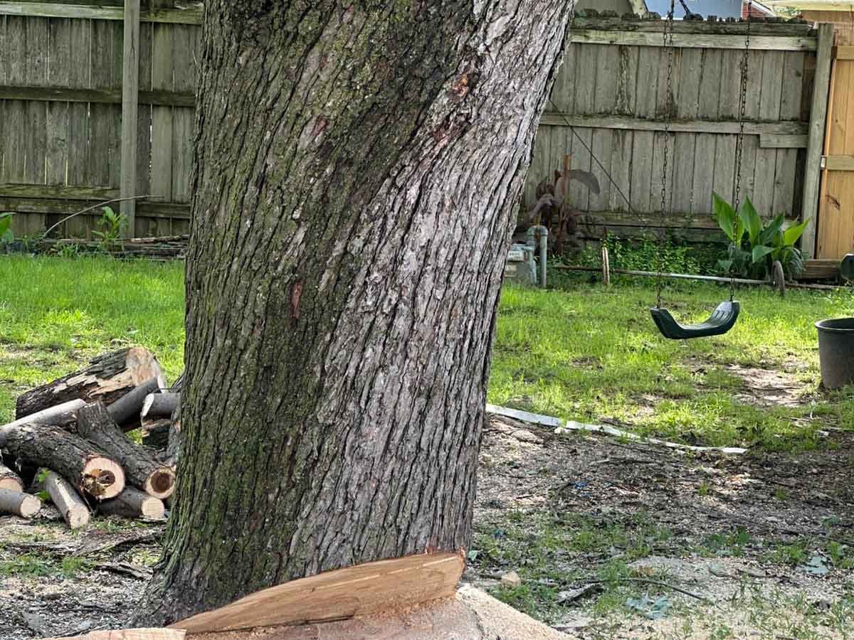 Luchos Tree Services