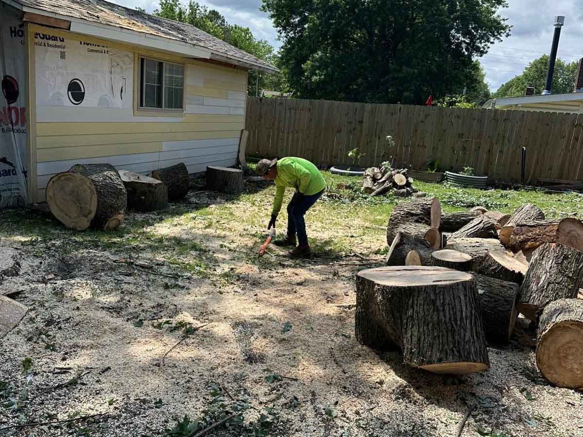 Luchos Tree Services