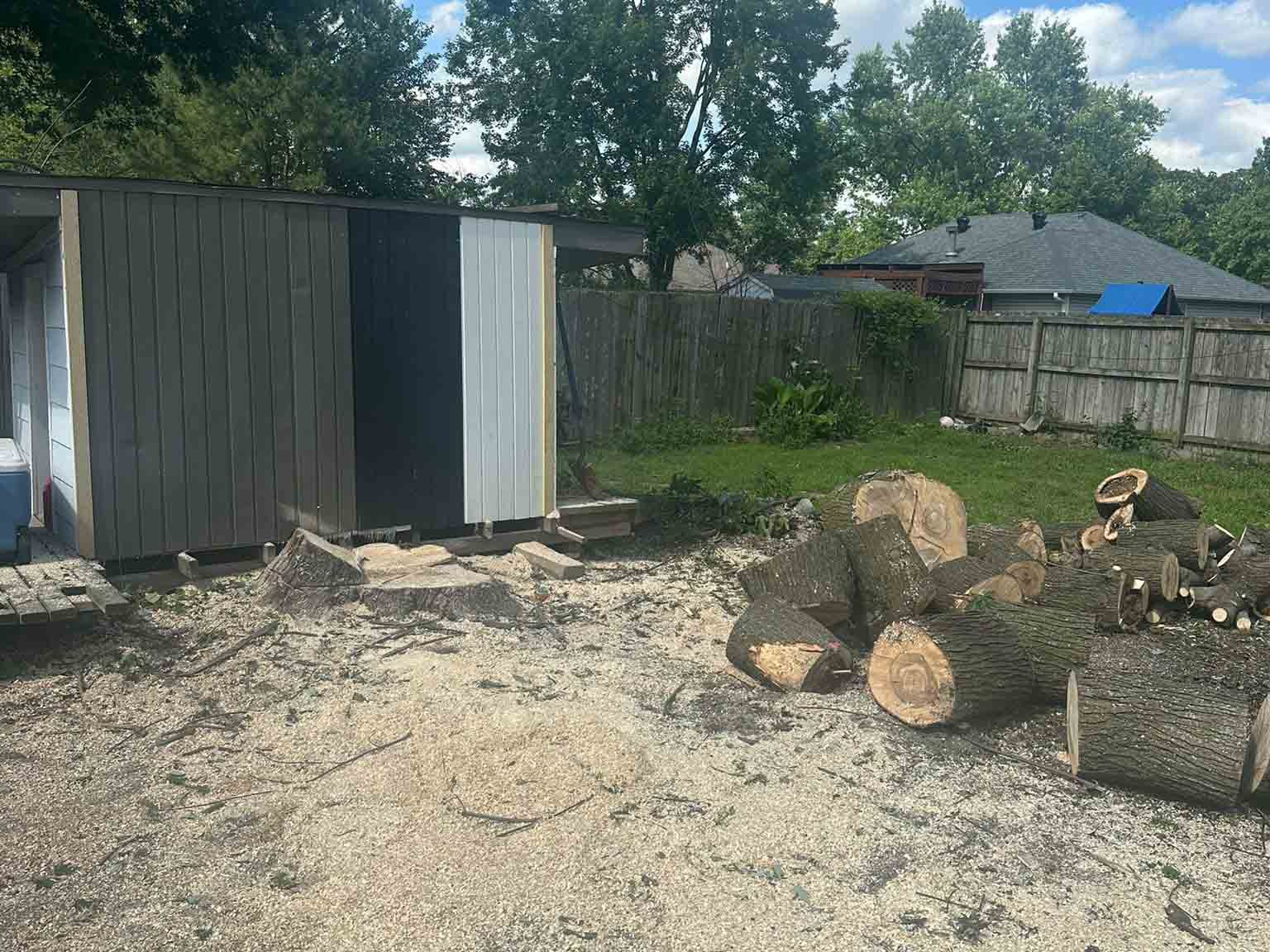 Luchos Tree Services