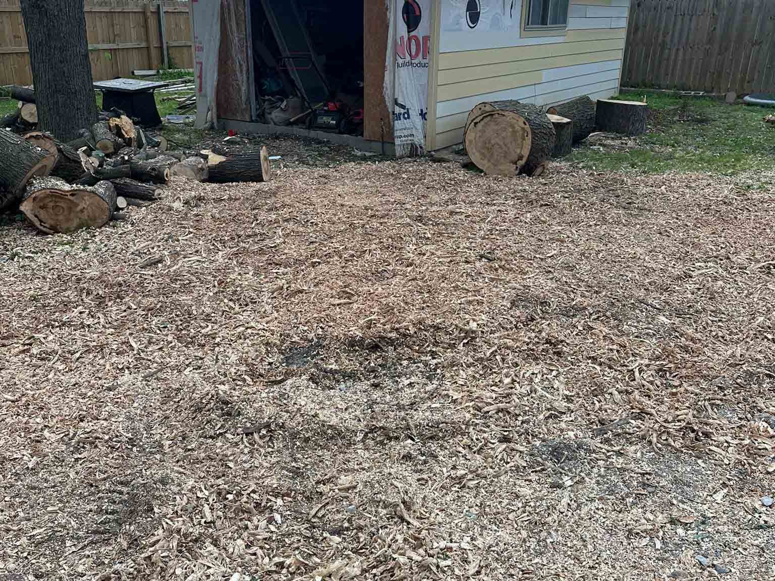 Luchos Tree Services