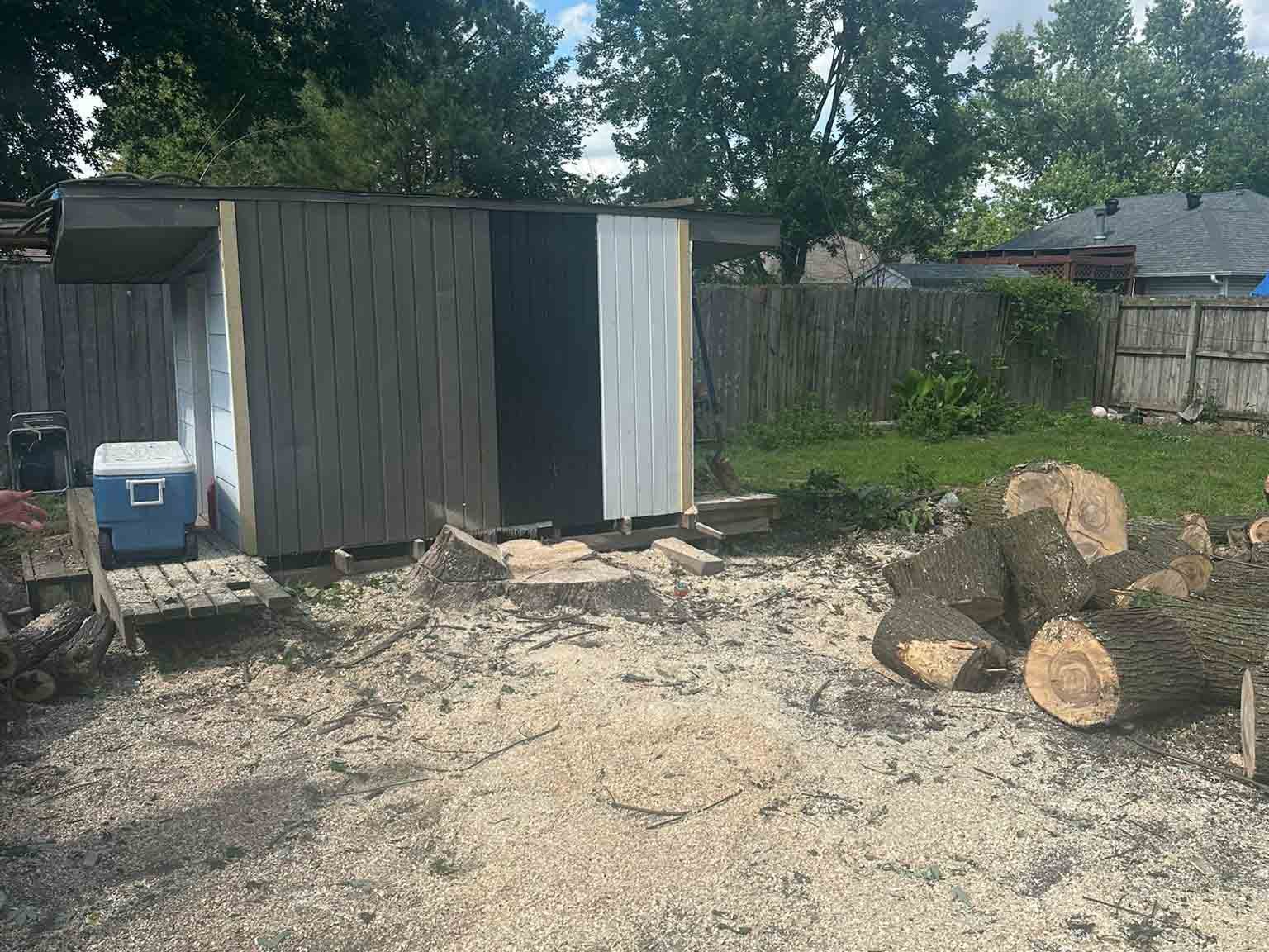 Luchos Tree Services