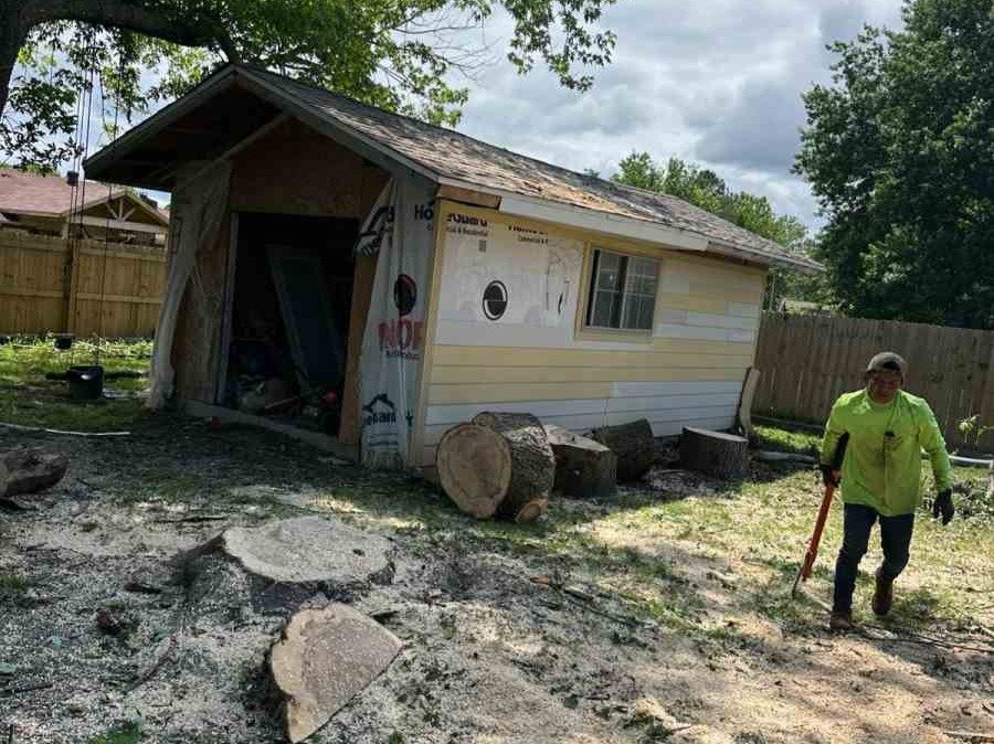 Luchos Tree Services