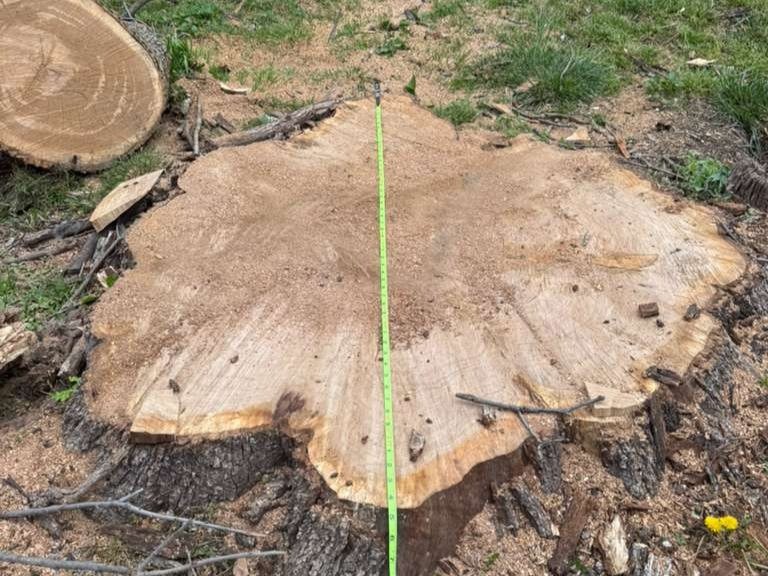 Luchos Tree Services