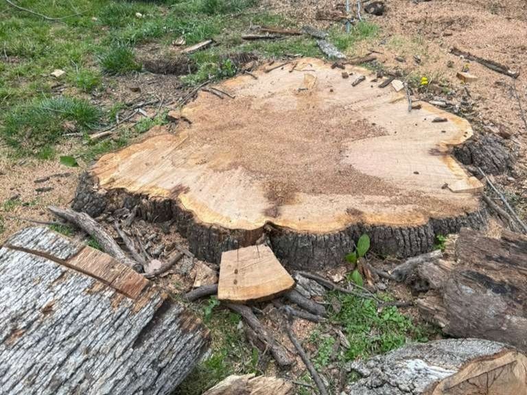 Luchos Tree Services
