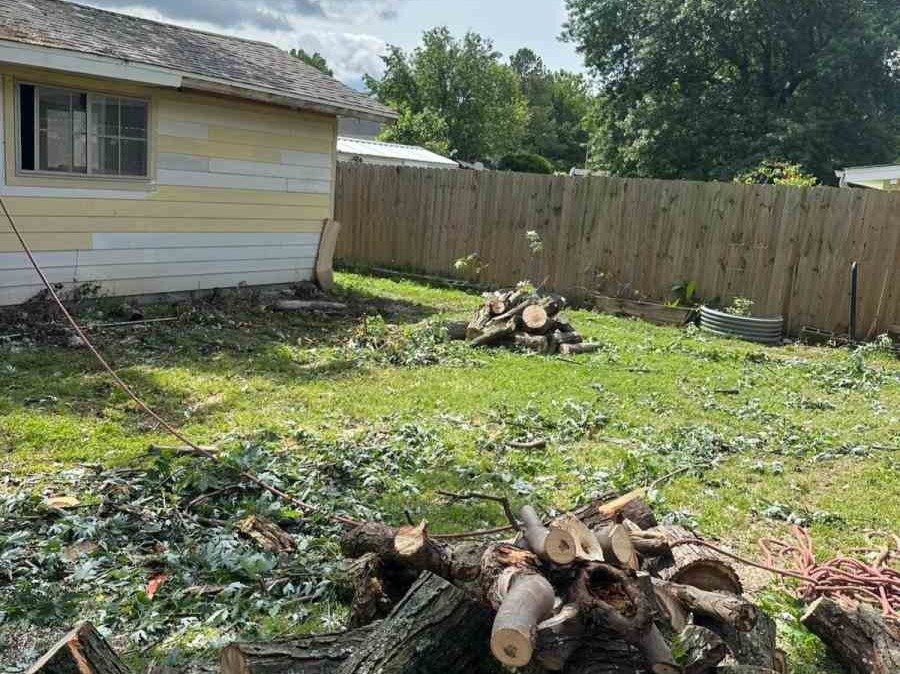 Luchos Tree Services