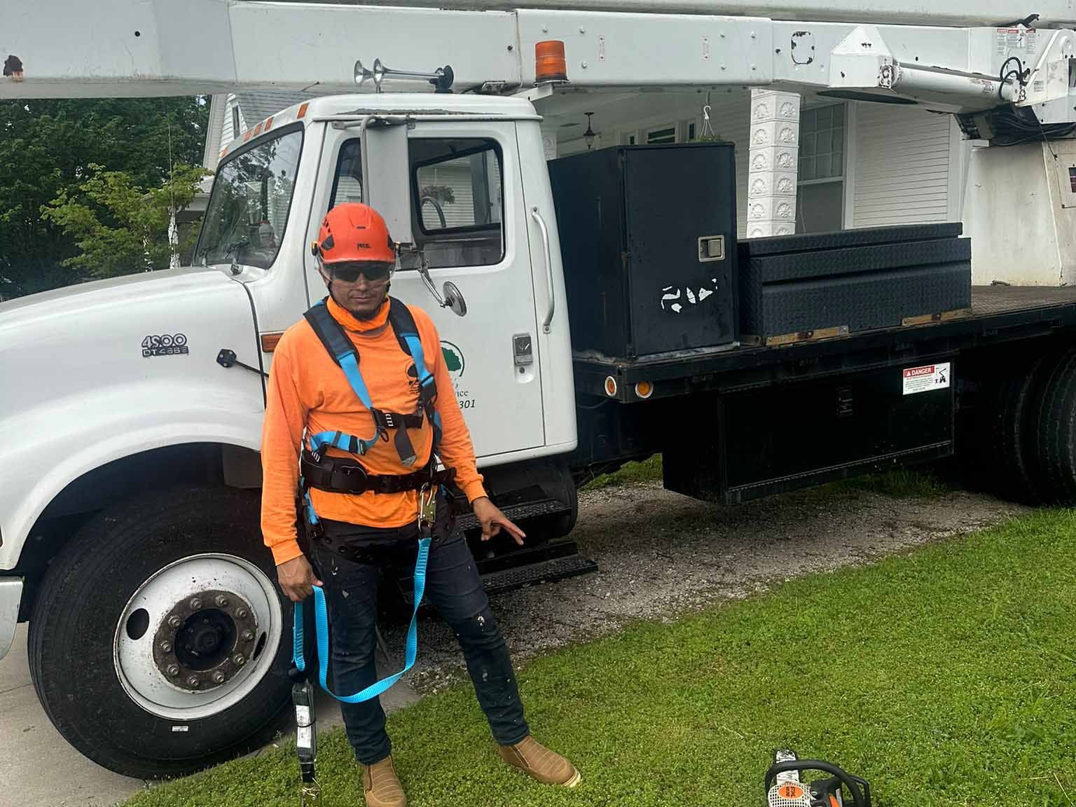 Luchos Tree Services