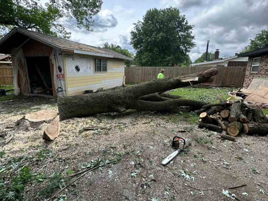 Luchos Tree Services