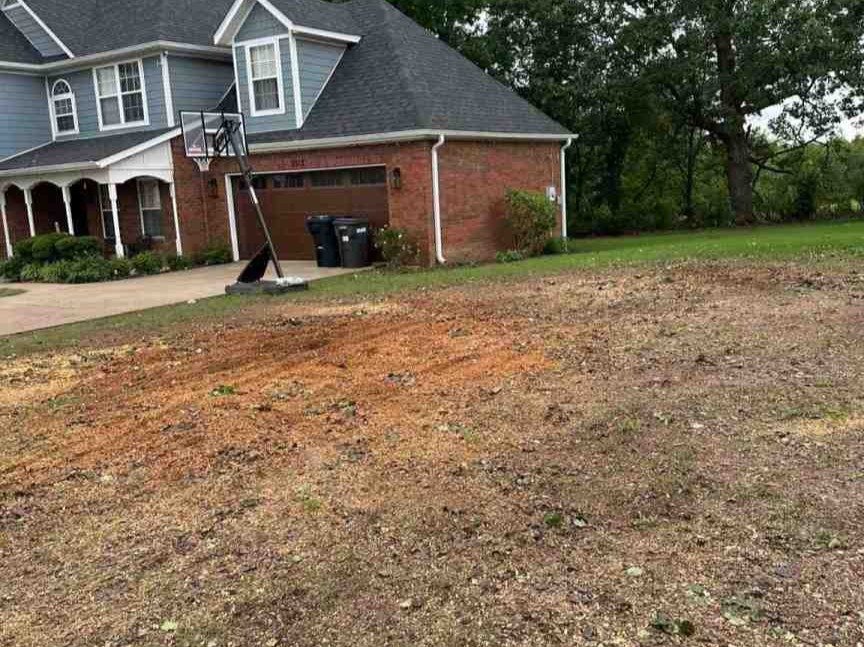 Luchos Tree Services