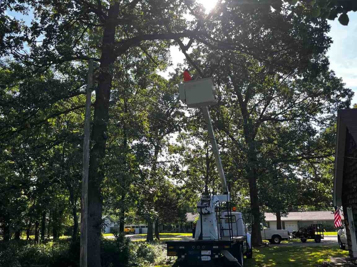 Luchos Tree Services