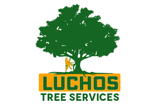 Luchos Tree Services
