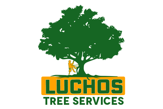 Luchos Tree Services